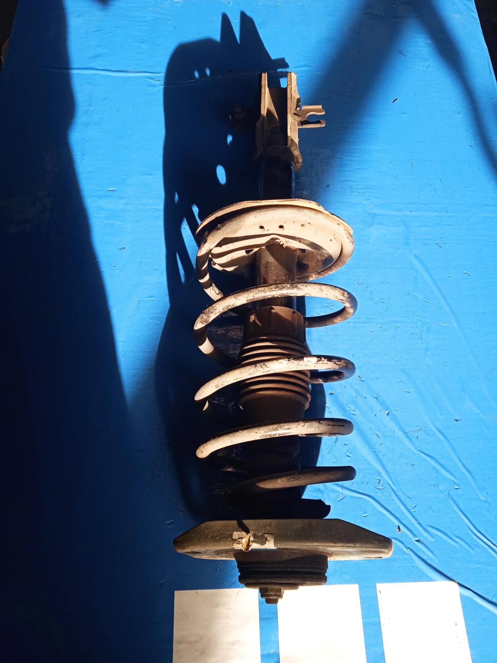 Ammortizzatore ant. sx.